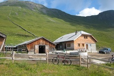 Alp Lasa